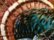 Load image into Gallery viewer, 1909 Thanksgiving Turkey Poster: Retro Fall Harvest Postcard Wall Art, Decoration