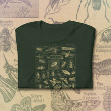 Load image into Gallery viewer, Vintage Insect Illustration T-Shirt | Retro Entomology Bug Graphic Tee