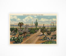 Load image into Gallery viewer, Cactus Species of the Desert POSTER! - up to 24x36 - Vintage Postcard - Antique - Southwest - Plants - Joshua Tree - Saguaro