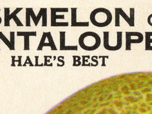 Load image into Gallery viewer, Cantaloupe Seed Packet POSTER! (up to 24" x 36") - Kitchen - Fruit - Garden