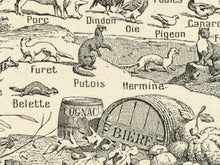 Load image into Gallery viewer, Vintage Style European Culture Poster - 1931 French Dictionary Chart Image Art