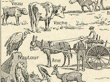 Load image into Gallery viewer, Vintage Style European Culture Poster - 1931 French Dictionary Chart Image Art