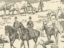 Load image into Gallery viewer, Vintage Style European Culture Poster - 1931 French Dictionary Chart Image Art