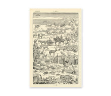 Load image into Gallery viewer, Vintage Style European Culture Poster - 1931 French Dictionary Chart Image Art