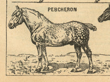 Load image into Gallery viewer, Vintage French Horse Cheval Poster - Up to 24x36 - Antique Dictionary Art Print