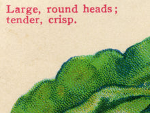 Load image into Gallery viewer, Vintage Lettuce Seed Packet POSTER! (up to 24" x 36") - Kitchen - Vegetables - Garden