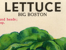 Load image into Gallery viewer, Vintage Lettuce Seed Packet POSTER! (up to 24" x 36") - Kitchen - Vegetables - Garden