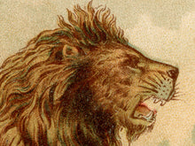 Load image into Gallery viewer, Vintage Apothecary POSTER! (up to 24" x 36") - Little Lion Tamer - 1890 - Antique - General Store - Medicine - New York