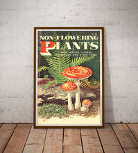 Load image into Gallery viewer, Vintage Mushroom & Fern Poster – Non-Flowering Plants Botanical Print (Ferns, Mosses, Lichens, Fungi) – 1967