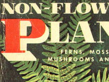 Load image into Gallery viewer, Vintage Mushroom & Fern Poster – Non-Flowering Plants Botanical Print (Ferns, Mosses, Lichens, Fungi) – 1967