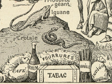 Load image into Gallery viewer, The Americas Illustrations Poster - Vintage French Dictionary Print