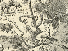 Load image into Gallery viewer, The Americas Illustrations Poster - Vintage French Dictionary Print