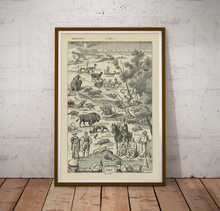 Load image into Gallery viewer, The Americas Illustrations Poster - Vintage French Dictionary Print