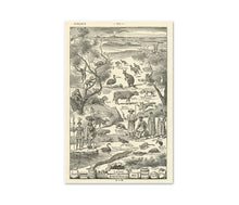 Load image into Gallery viewer, Oceania Digital Print - Vintage French Dictionary Poster Art - Anthropology - Culture