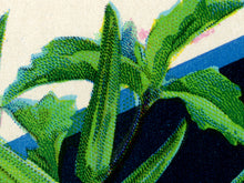 Load image into Gallery viewer, Vintage Okra Seed Packet POSTER! (up to 24" x 36") - Kitchen - Vegetables - Garden