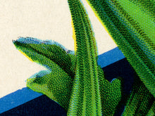 Load image into Gallery viewer, Vintage Okra Seed Packet POSTER! (up to 24" x 36") - Kitchen - Vegetables - Garden