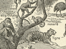 Load image into Gallery viewer, Oceania T-Shirt - Vintage French Dictionary Image - Anthropology - Culture