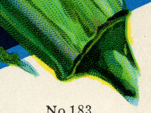 Load image into Gallery viewer, Vintage Okra Seed Packet POSTER! (up to 24" x 36") - Kitchen - Vegetables - Garden