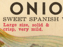 Load image into Gallery viewer, Vintage Onion Seed Packet POSTER! (up to 24" x 36") - Kitchen - Vegetables - Garden