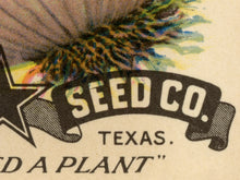 Load image into Gallery viewer, Vintage Onion Seed Packet POSTER! (up to 24" x 36") - Kitchen - Vegetables - Garden