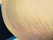 Load image into Gallery viewer, Vintage Onion Seed Packet POSTER! (up to 24" x 36") - Kitchen - Vegetables - Garden