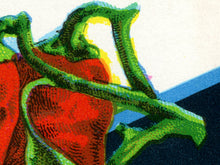 Load image into Gallery viewer, Cayenne Pepper Vintage Seed Packet POSTER! (up to 24" x 36") - Kitchen - Vegetables - Garden