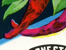 Load image into Gallery viewer, Cayenne Pepper Vintage Seed Packet POSTER! (up to 24" x 36") - Kitchen - Vegetables - Garden