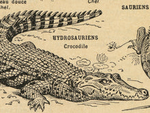 Load image into Gallery viewer, Vintage Reptile Illustrations POSTER! (up to 24" x 36") - c. 1906 - French Dictionary - Steampunk - Victorian - Antique - Hand Drawn Art