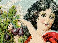 Load image into Gallery viewer, Vintage Apothecary POSTER! (up to 24" x 36") - Syrup of Figs - Antique - Medicine - San Francisco