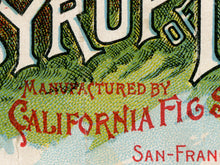 Load image into Gallery viewer, Vintage Apothecary POSTER! (up to 24" x 36") - Syrup of Figs - Antique - Medicine - San Francisco