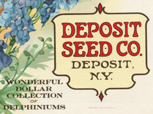 Load image into Gallery viewer, 1929 Seed Catalogue Cover POSTER! (up to 24" x 36") - Flowers - Decoration - Garden - Floral - Delphinium