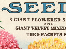 Load image into Gallery viewer, 1929 Seed Catalogue Back Cover POSTER! (up to 24" x 36") - Flowers - Decoration - Garden - Floral - Spring