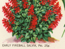 Load image into Gallery viewer, 1929 Seed Catalogue Back Cover POSTER! (up to 24" x 36") - Flowers - Decoration - Garden - Floral - Spring