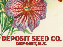 Load image into Gallery viewer, 1929 Seed Catalogue Back Cover POSTER! (up to 24" x 36") - Flowers - Decoration - Garden - Floral - Spring