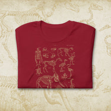 Load image into Gallery viewer, Vintage Animal Skeleton Diagram T-Shirt – French Science & Nature Inspired Shirt