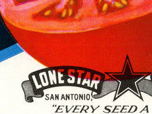 Load image into Gallery viewer, Tomato Vintage Seed Packet POSTER! (up to 24" x 36") - Kitchen - Vegetables - Garden