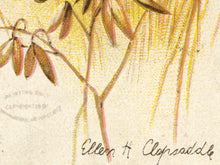 Load image into Gallery viewer, Vintage Thanksgiving Wishbone Art Print - Antique Postcard Reproduction