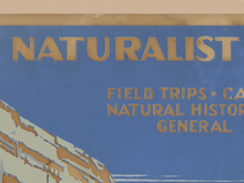 Load image into Gallery viewer, 1930's Zion National Park Poster (up to 24" x 36") - Department of Interior - Vintage Style - Utah