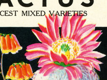 Load image into Gallery viewer, Cactus Vintage Seed Packet POSTER! (up to 24" x 36") - Southwest - Decoration - Succulent - Desert - Pop Art - Antique