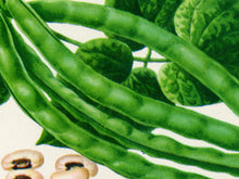 Load image into Gallery viewer, Black Eye Peas Seed Packet POSTER! (up to 24" x 36") - Kitchen - Vegetables - Garden