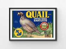 Load image into Gallery viewer, 1919 Quail Pears POSTER! (up to 24" x 36") - Kitchen - Decor - Bartlett - Fruit - Label - Farm House - USA
