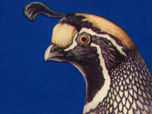 Load image into Gallery viewer, 1919 Quail Pears POSTER! (up to 24" x 36") - Kitchen - Decor - Bartlett - Fruit - Label - Farm House - USA