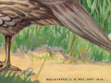 Load image into Gallery viewer, 1919 Quail Pears POSTER! (up to 24" x 36") - Kitchen - Decor - Bartlett - Fruit - Label - Farm House - USA