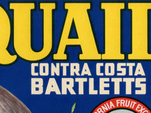 Load image into Gallery viewer, 1919 Quail Pears POSTER! (up to 24" x 36") - Kitchen - Decor - Bartlett - Fruit - Label - Farm House - USA