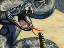 Load image into Gallery viewer, Vintage Rattlesnake Image T-Shirt - 1939 Magazine Print