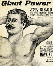 Load image into Gallery viewer, 1902 SEARS Catalog Electric Belt POSTER! (24" x 36" or smaller) - Homeopathic - Medicine - Doctor - Gifts