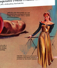 Load image into Gallery viewer, POSTER of a 1941 Gargoyle Oil / Socony Ad - Products from Petroleum - Petroliana