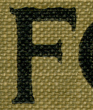 Load image into Gallery viewer, 1919 Ford Model T Handbook POSTER! - Classic Cars - Victorian - Cover - Mr. Toad's Wild Ride - Motors - Car - Shop - Art - Automobilia