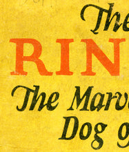 Load image into Gallery viewer, 1927 Rin Tin Tin Story Book Cover POSTER! (up to 24" x 36") - Vintage - Antique - German Shepherd