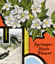 Load image into Gallery viewer, IDAHO Large Letter Postcard POSTER! (up to 24" x 36") - Vintage - Travel - Greetings